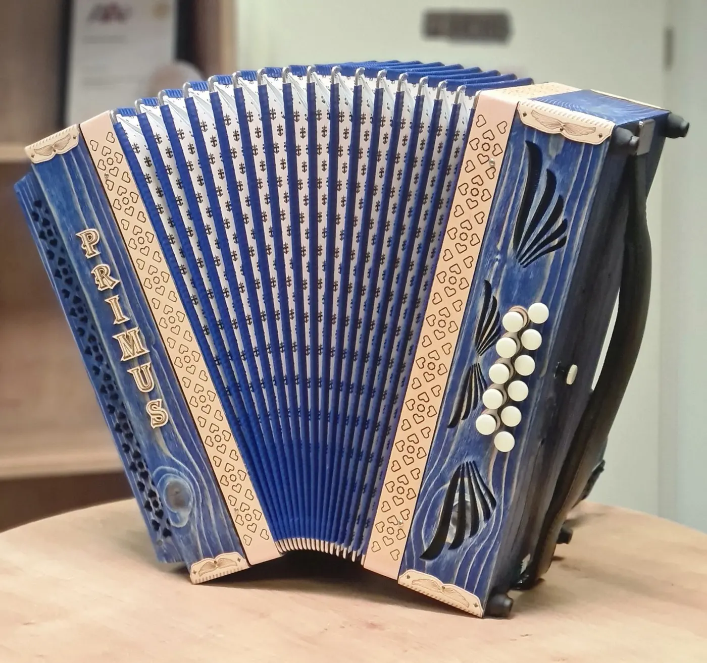 Nova harmonika Primus 38 — po naročilu – fotografija 2